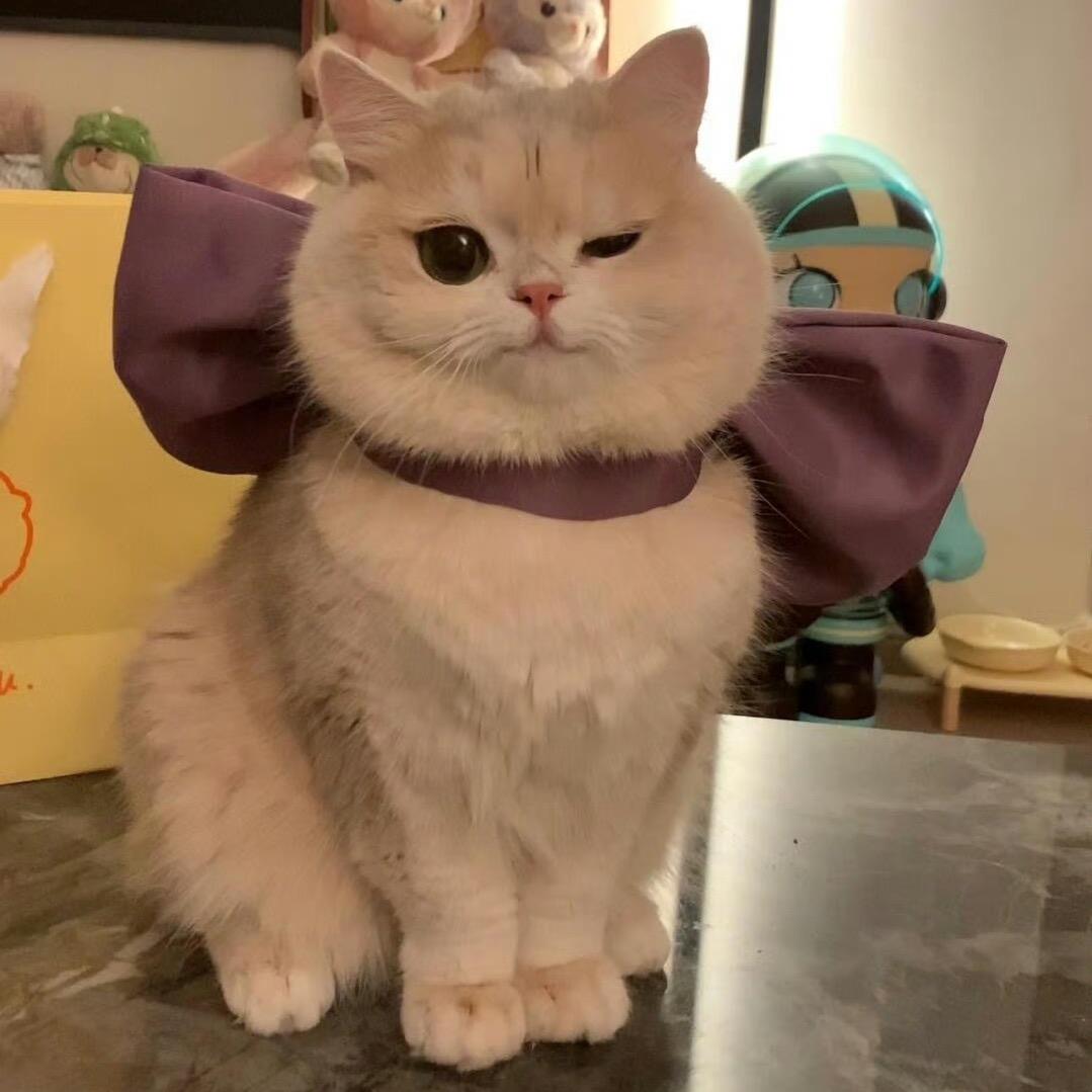 一坨云_