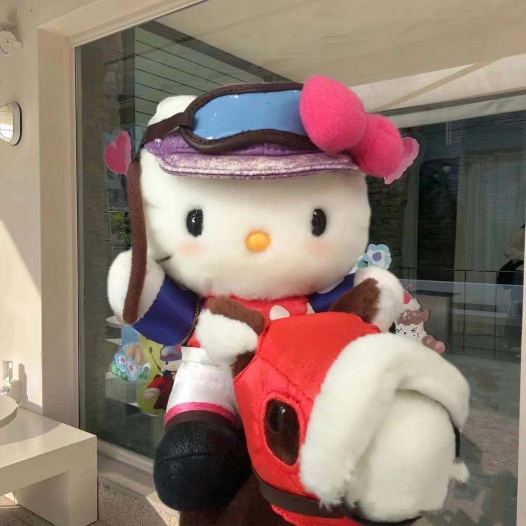 美女剑豪带着肉来了