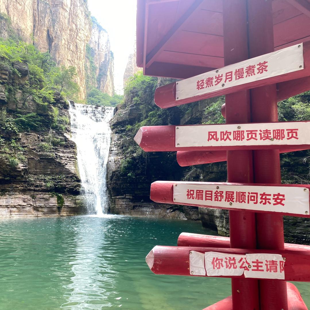 什么也不想