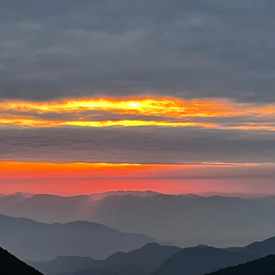 赛尔高区