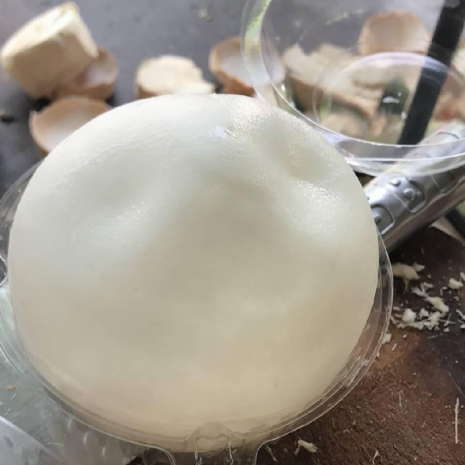 椰子壹家（2）号