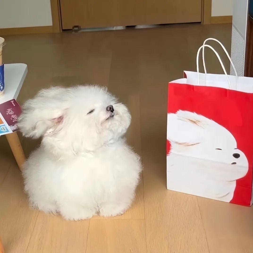 🧦