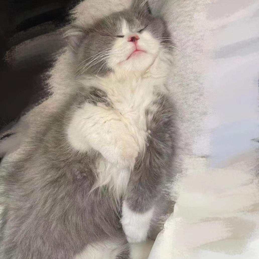 桃啊