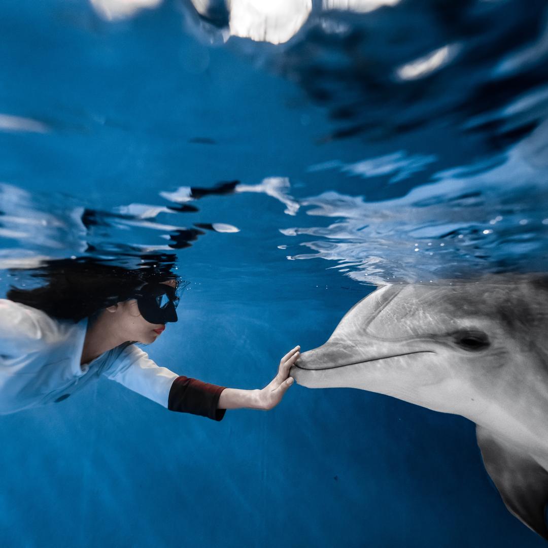 特缔思潜水(海南海洋欢乐世界店)