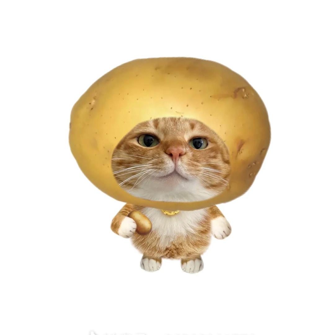 吃马铃薯长大的洋芋