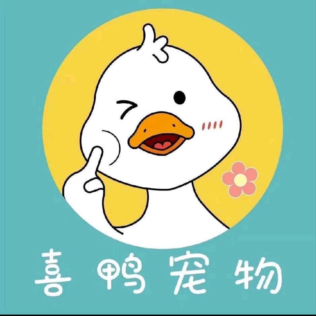 喜鸭宠物（东风路店）