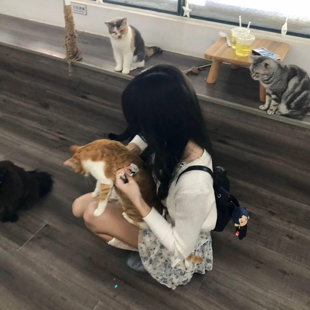 @惠