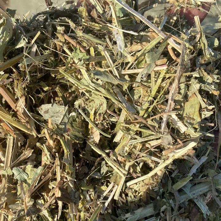 宜华牧业（饲草）