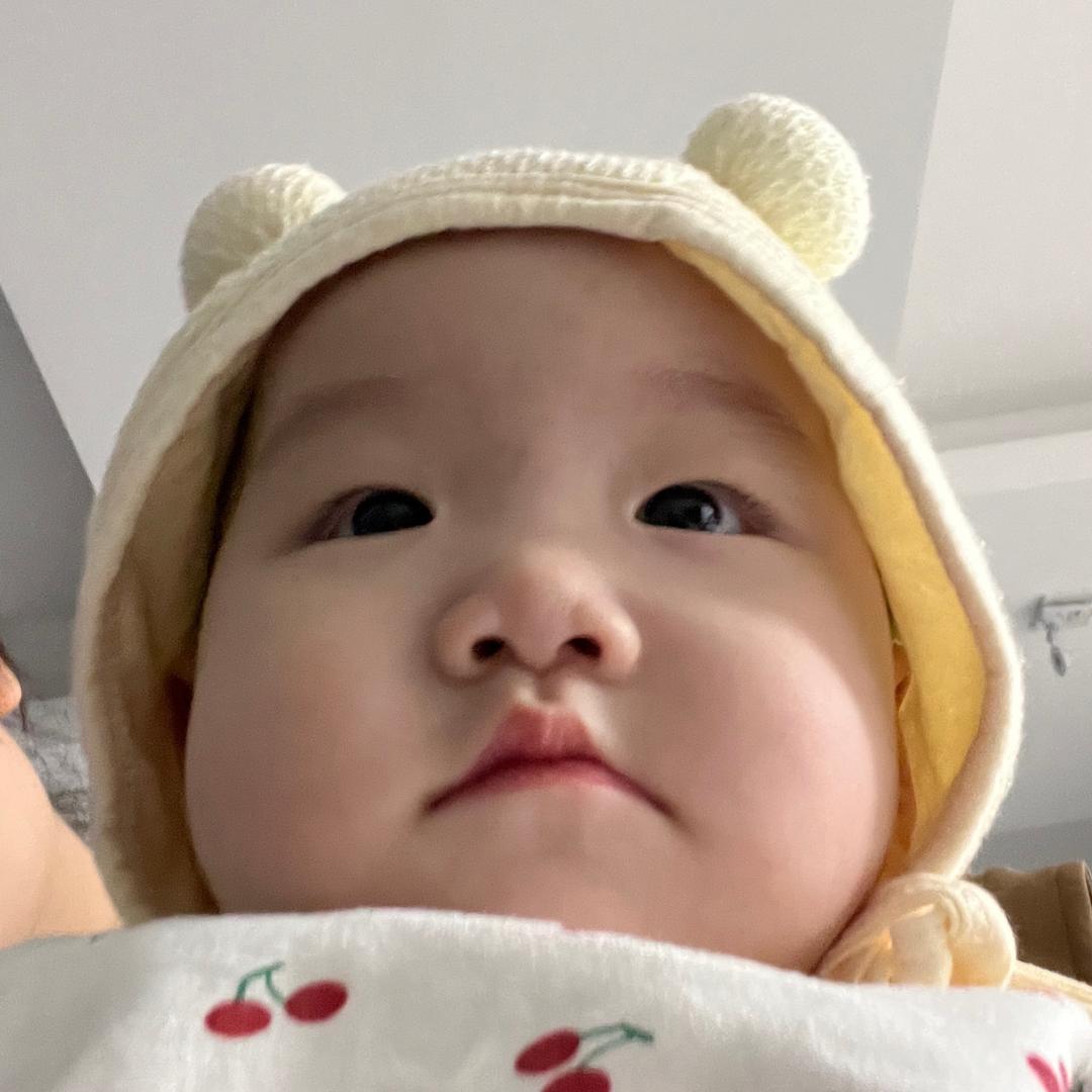 手抓饼大人