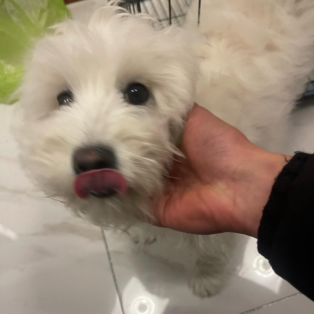 _____