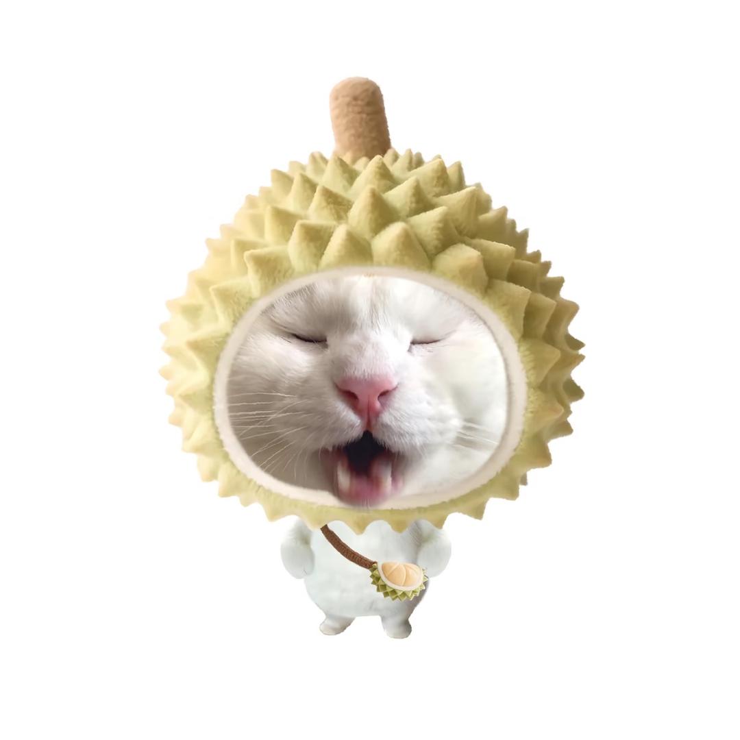 是小冷啦