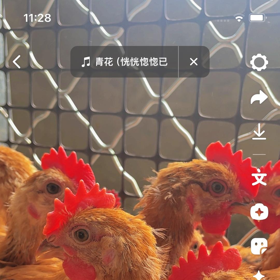 食尚嘉鼎牧场