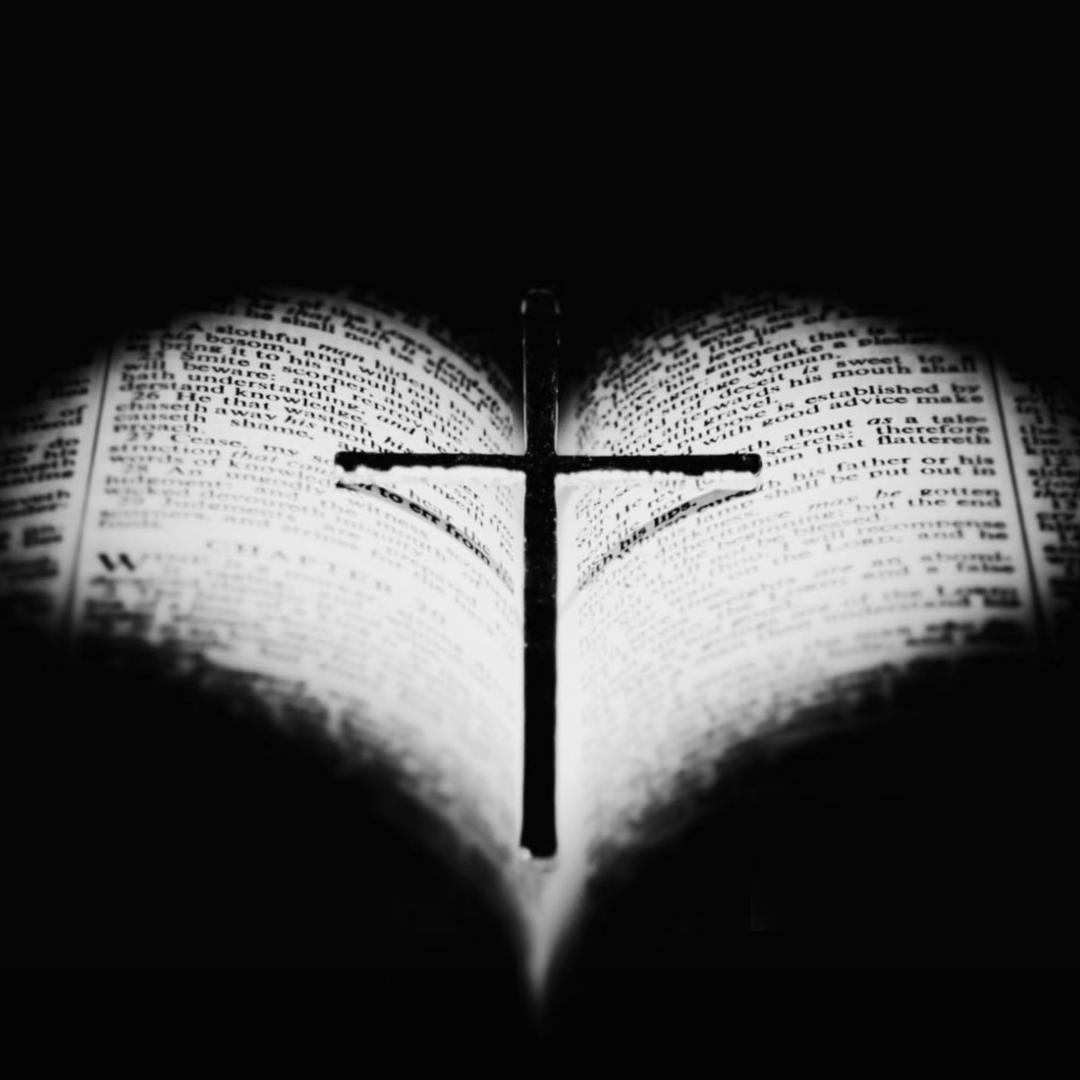 八福九果（河南）