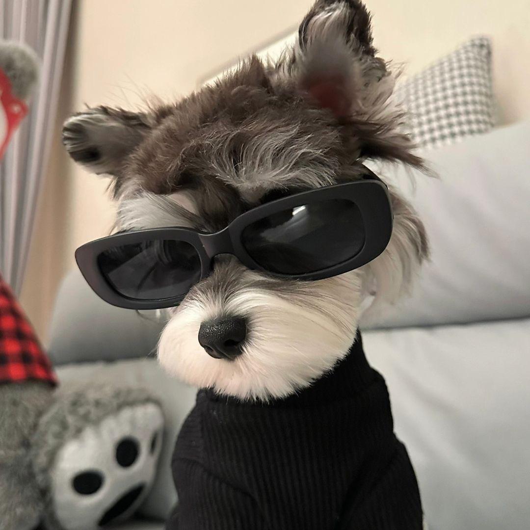 aaa铂金挂饰批发 花店