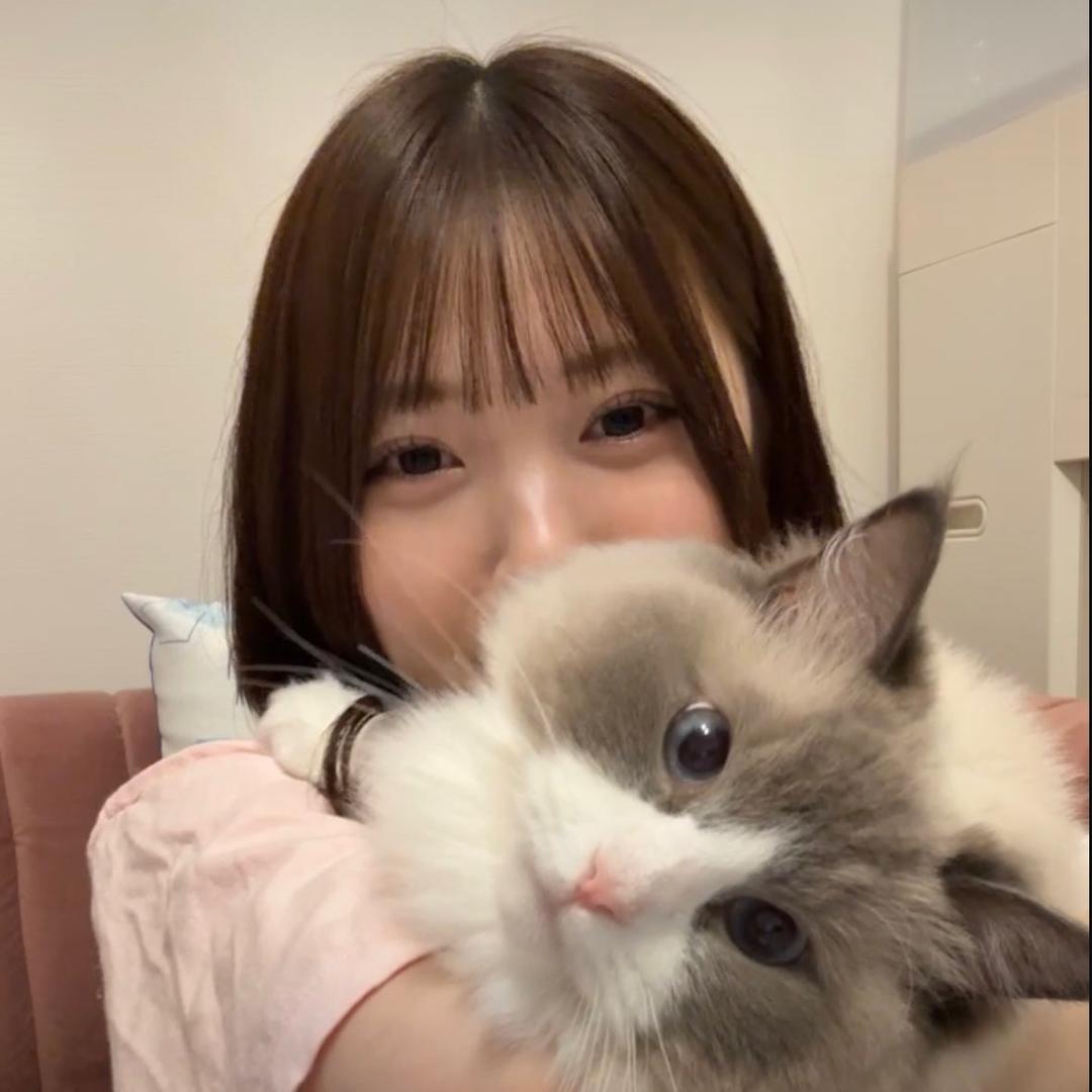 ㅤㅤㅤ   ㅤㅤ  ㅤ