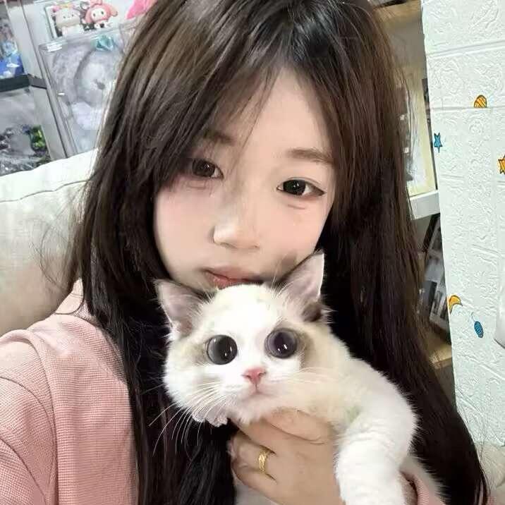 -小情绪🖇️