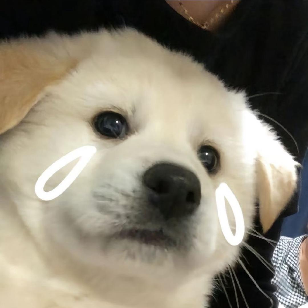 文具盒