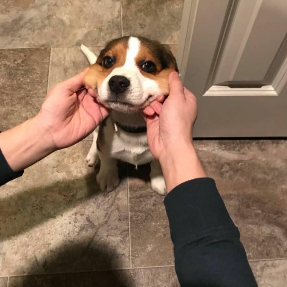 有些事情是命中注定滴