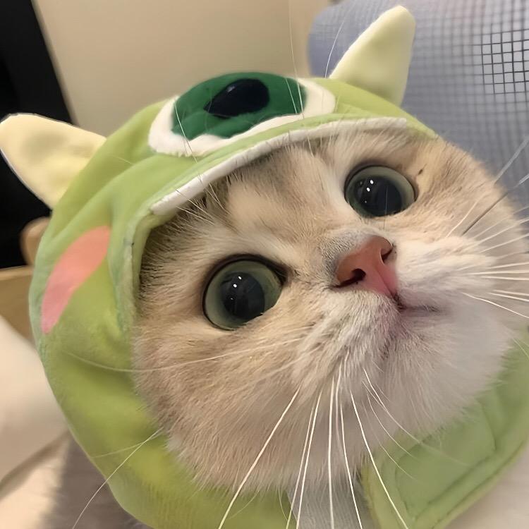 荷塘月色🪷