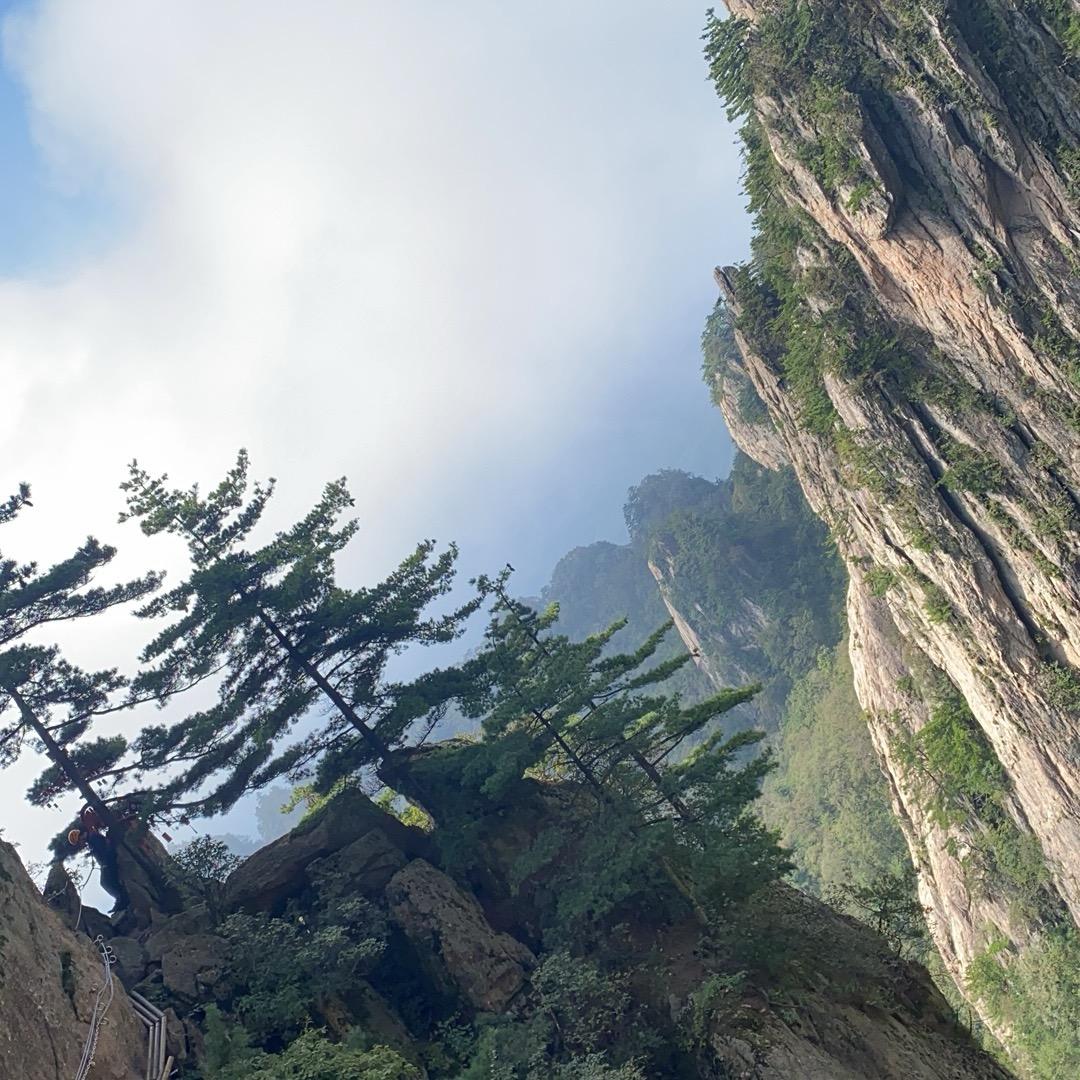 钞票滚滚福气多多