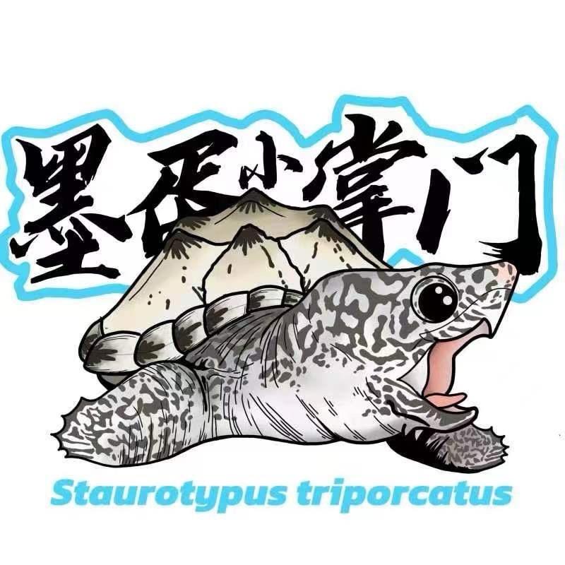 墨蛋小掌门