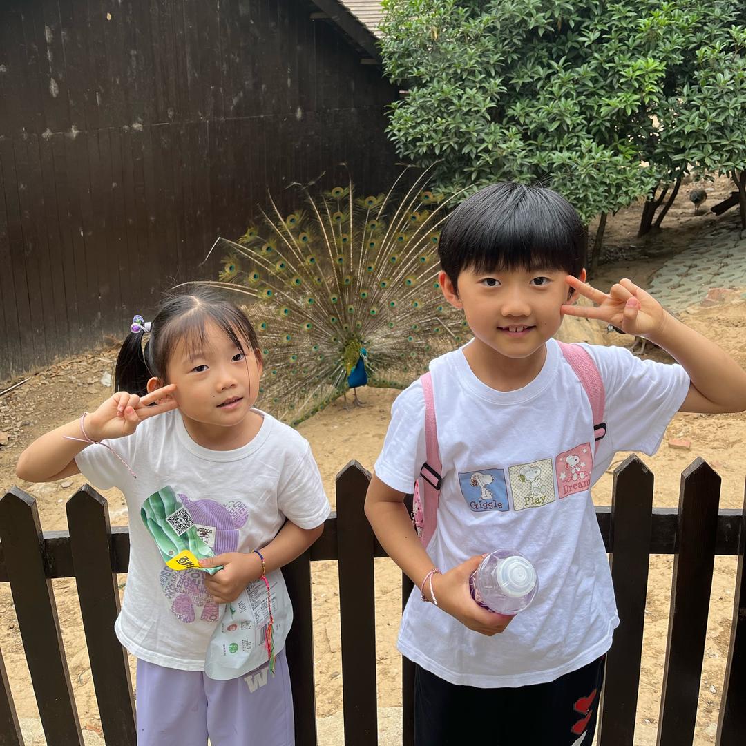 天中棋王（象棋小王子）