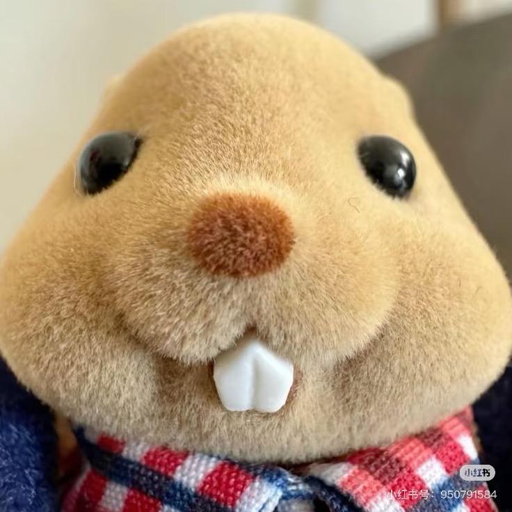 夹心狗