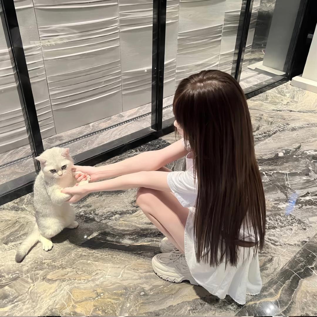 等不到爱