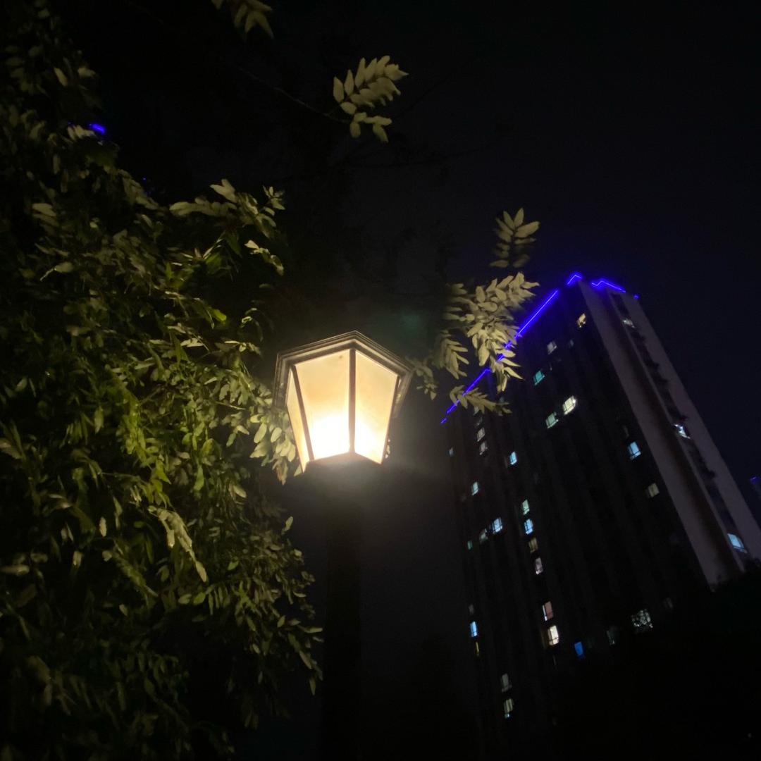 桔子别墅🏡