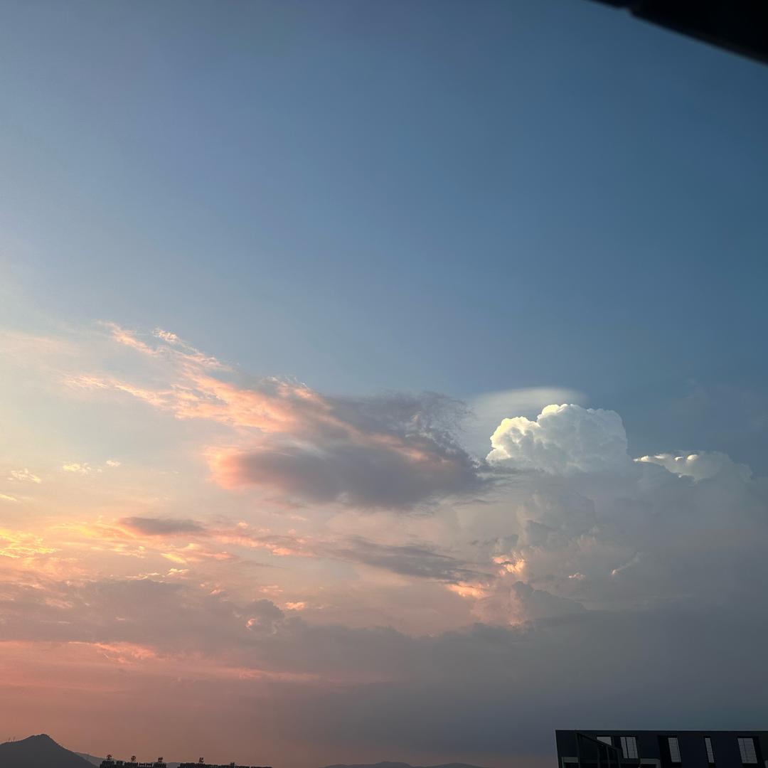 我的大哥是苞首