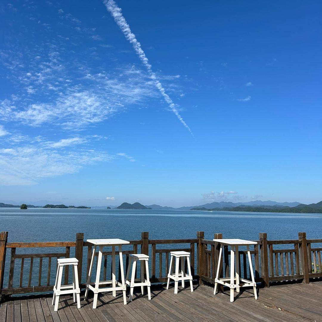 落花无意