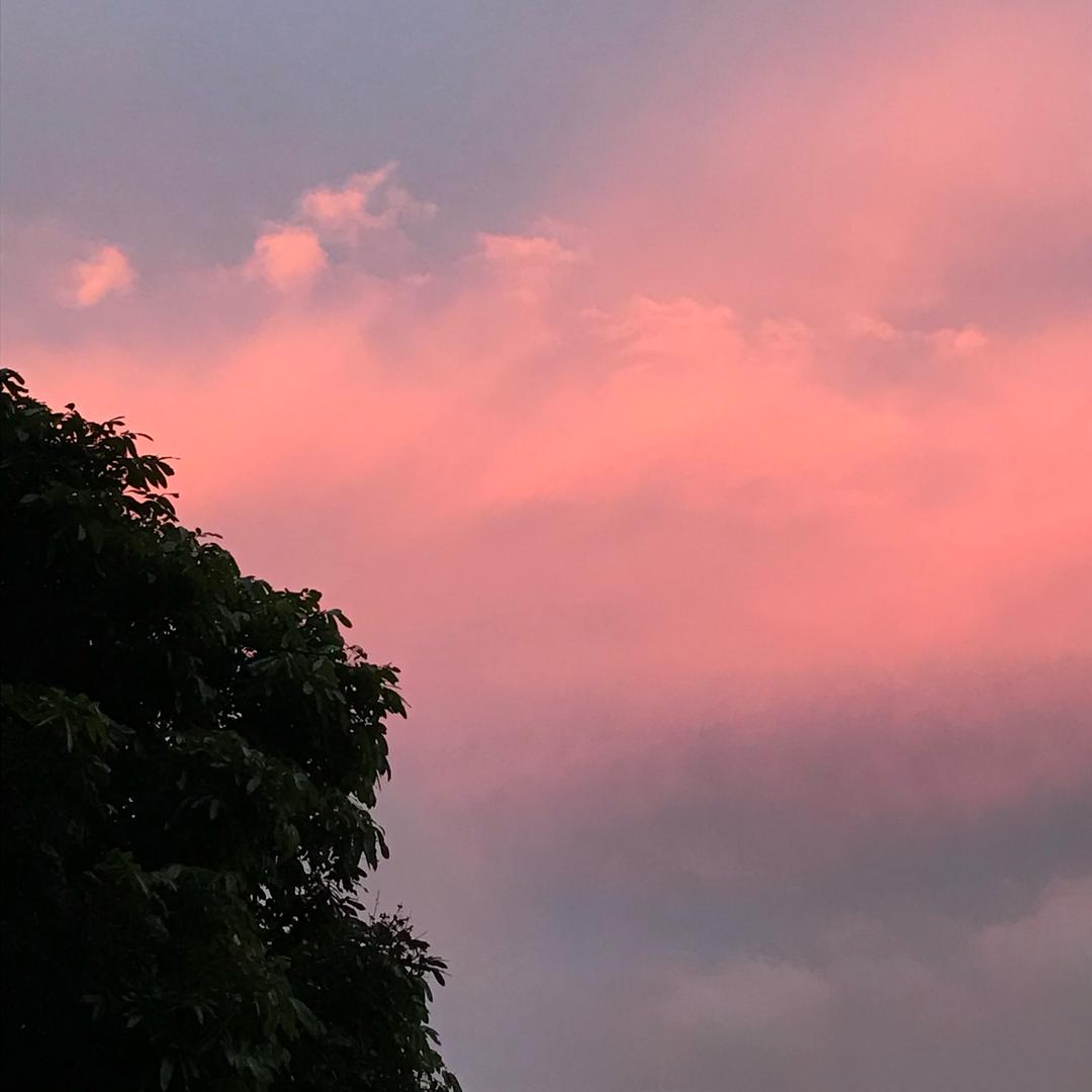 @斑马