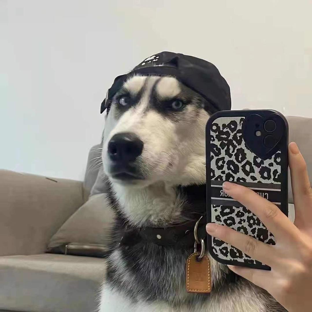 野生老喵（机车摄影）