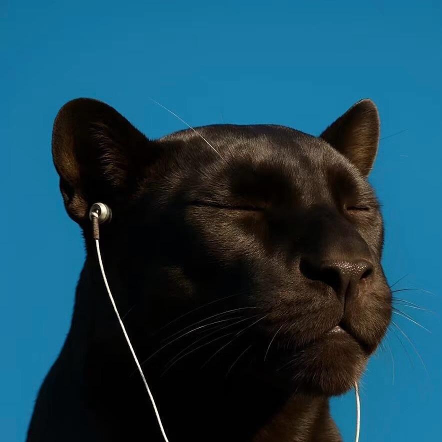 忒忒