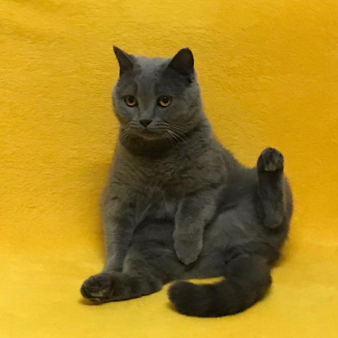 余赏