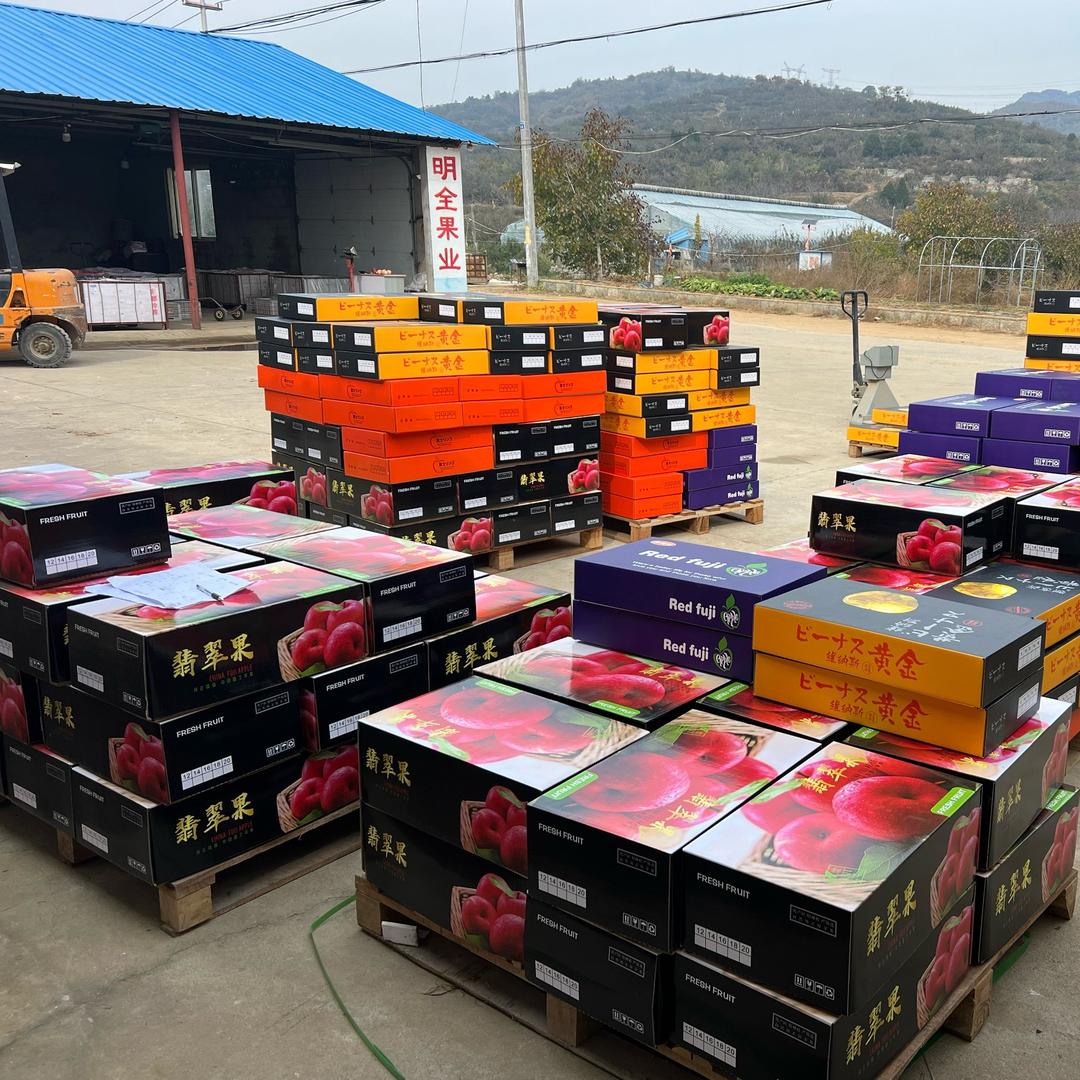 明全果业 经营苹果的采购与批发38年