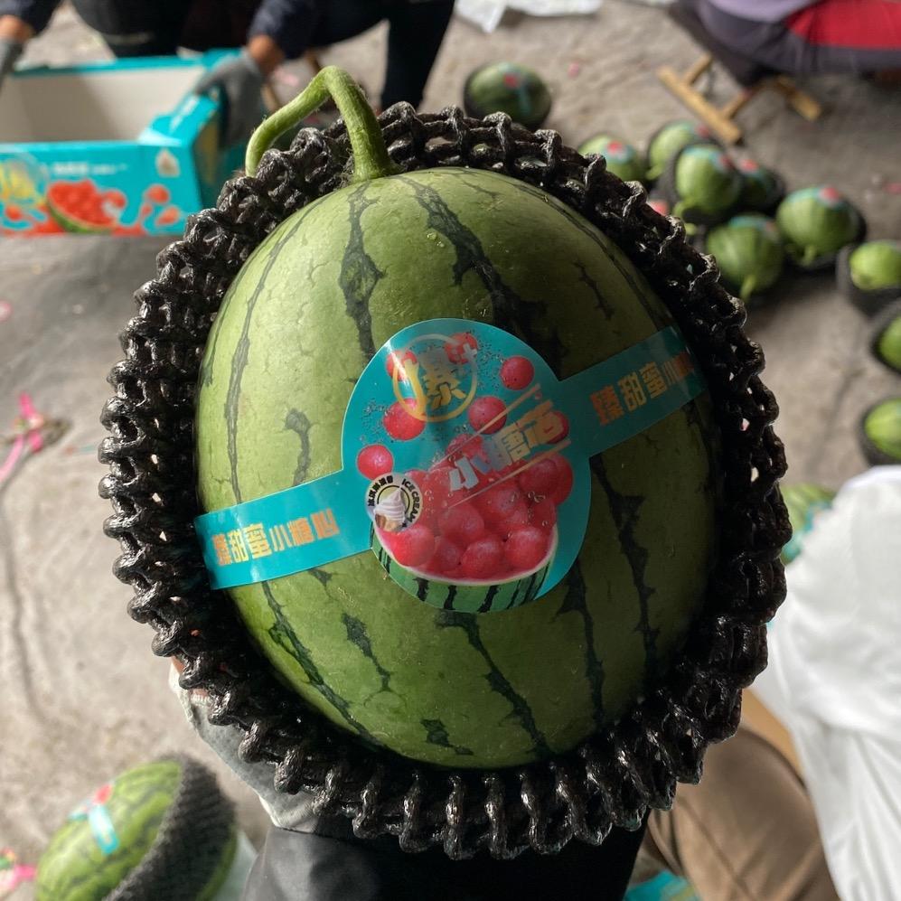 鲁潍瓜果代办
