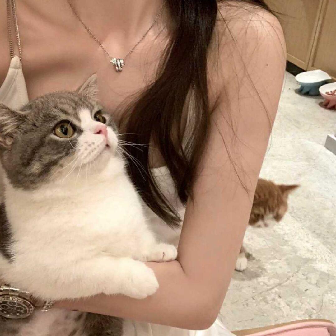 一支白纸吖