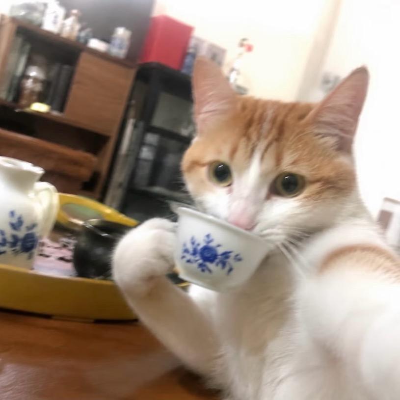 鸭头头像