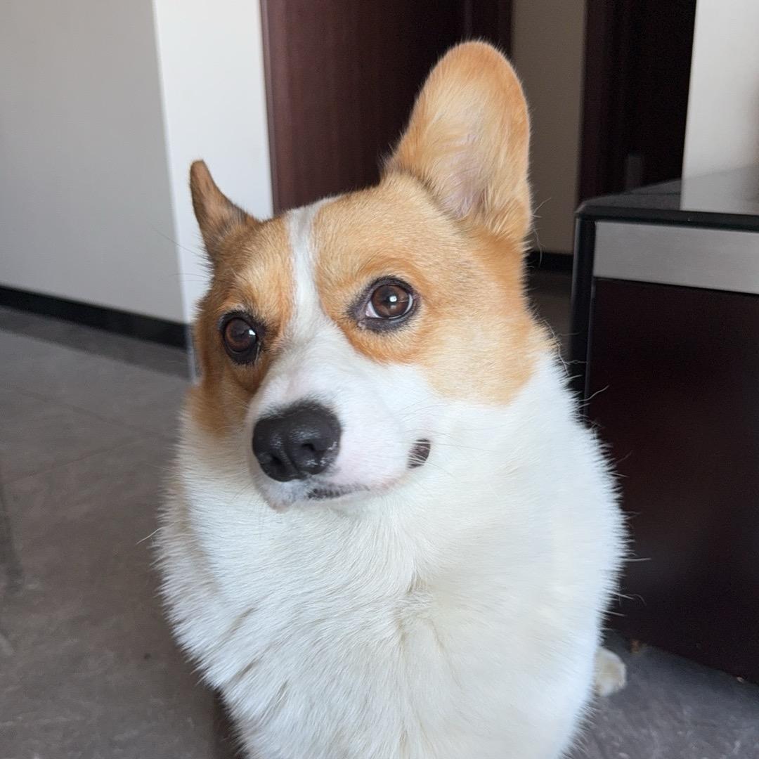 泡泡