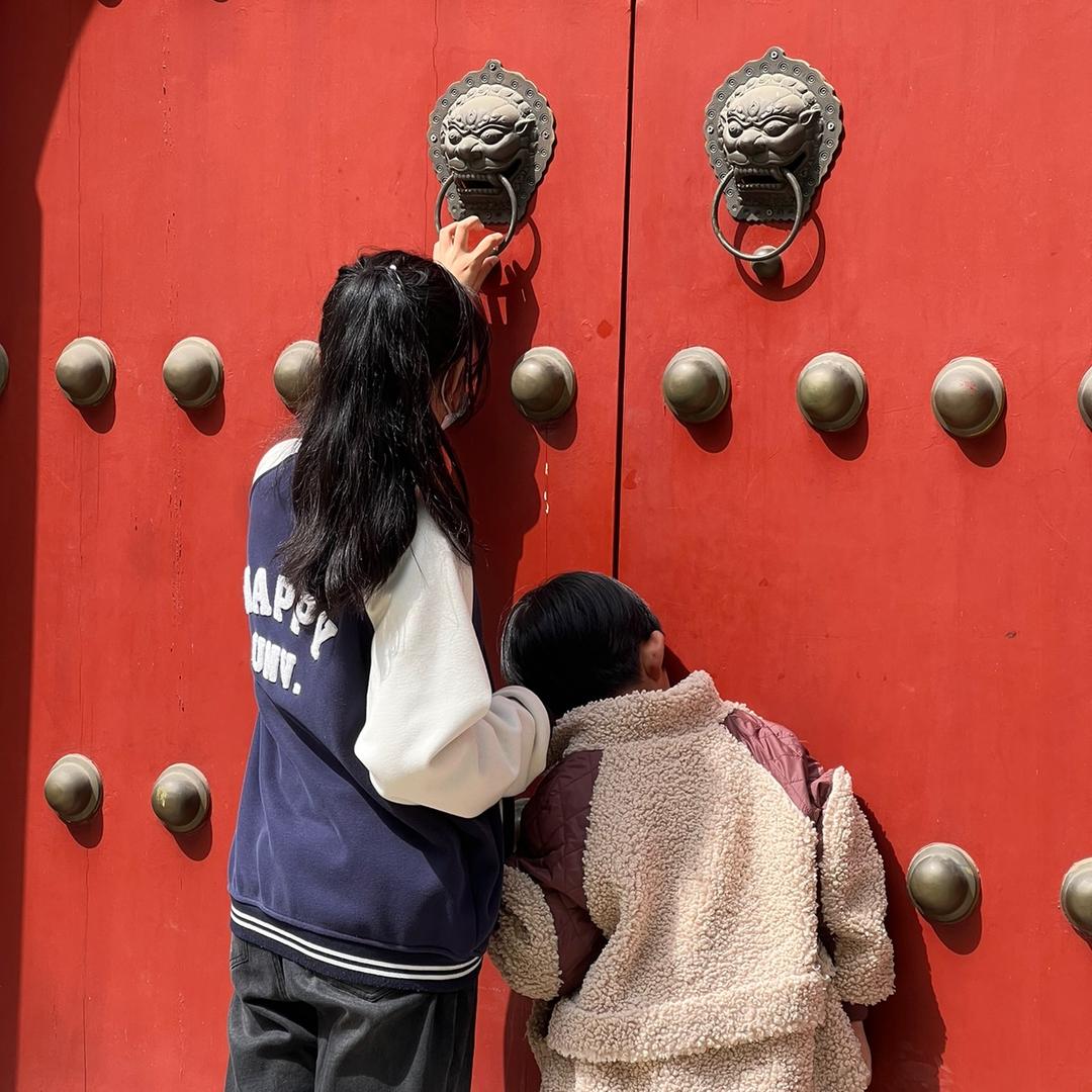 布鲁特同学