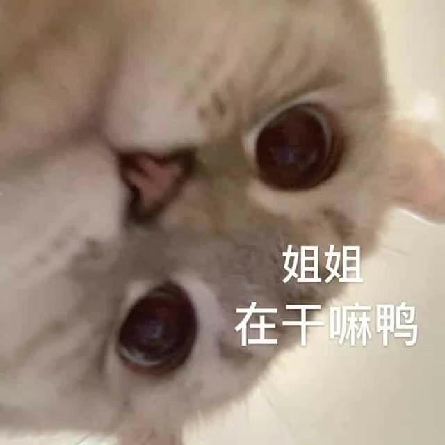 mianhuatangzhu