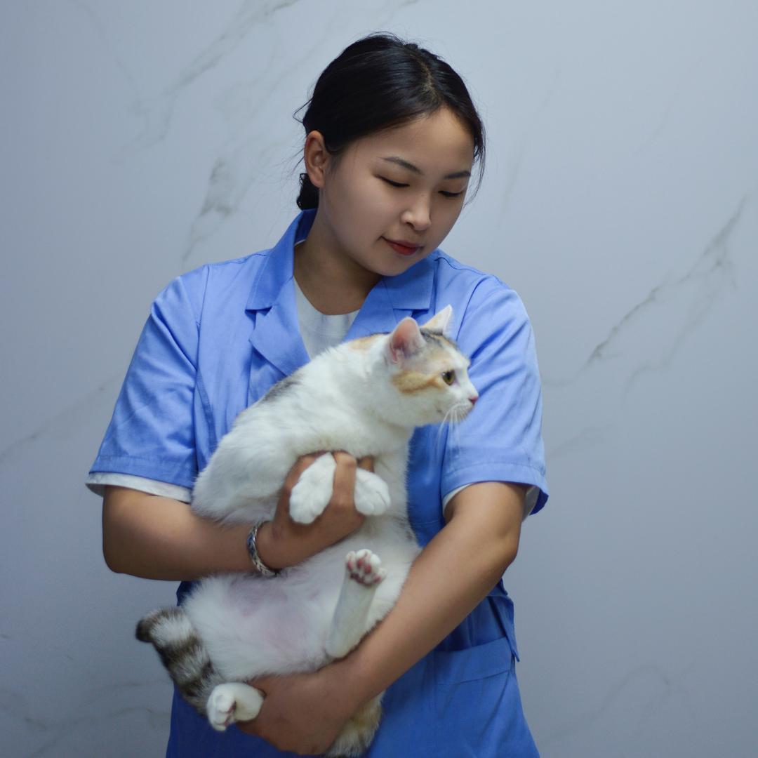 康辉动物医院Vet_金