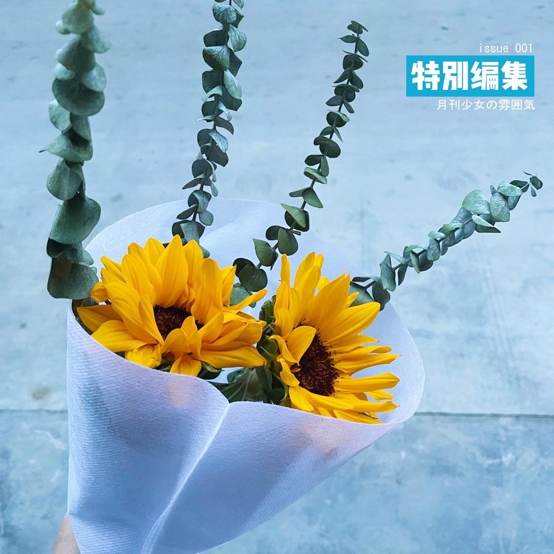 林浅不见鹿