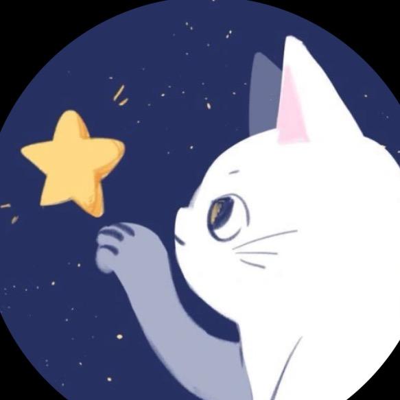 摘星星的喵✨