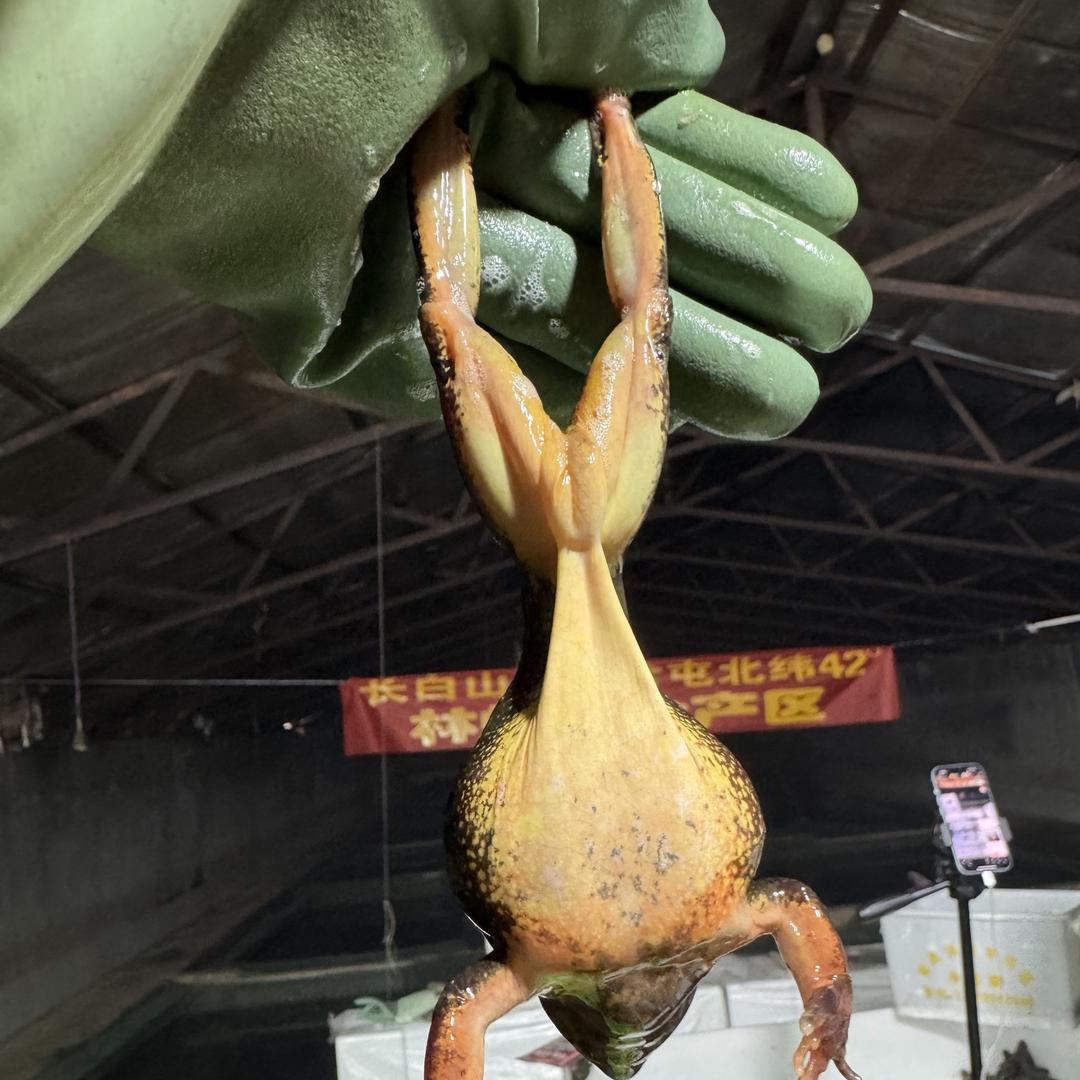 辉南县抚民镇野鹿土特产