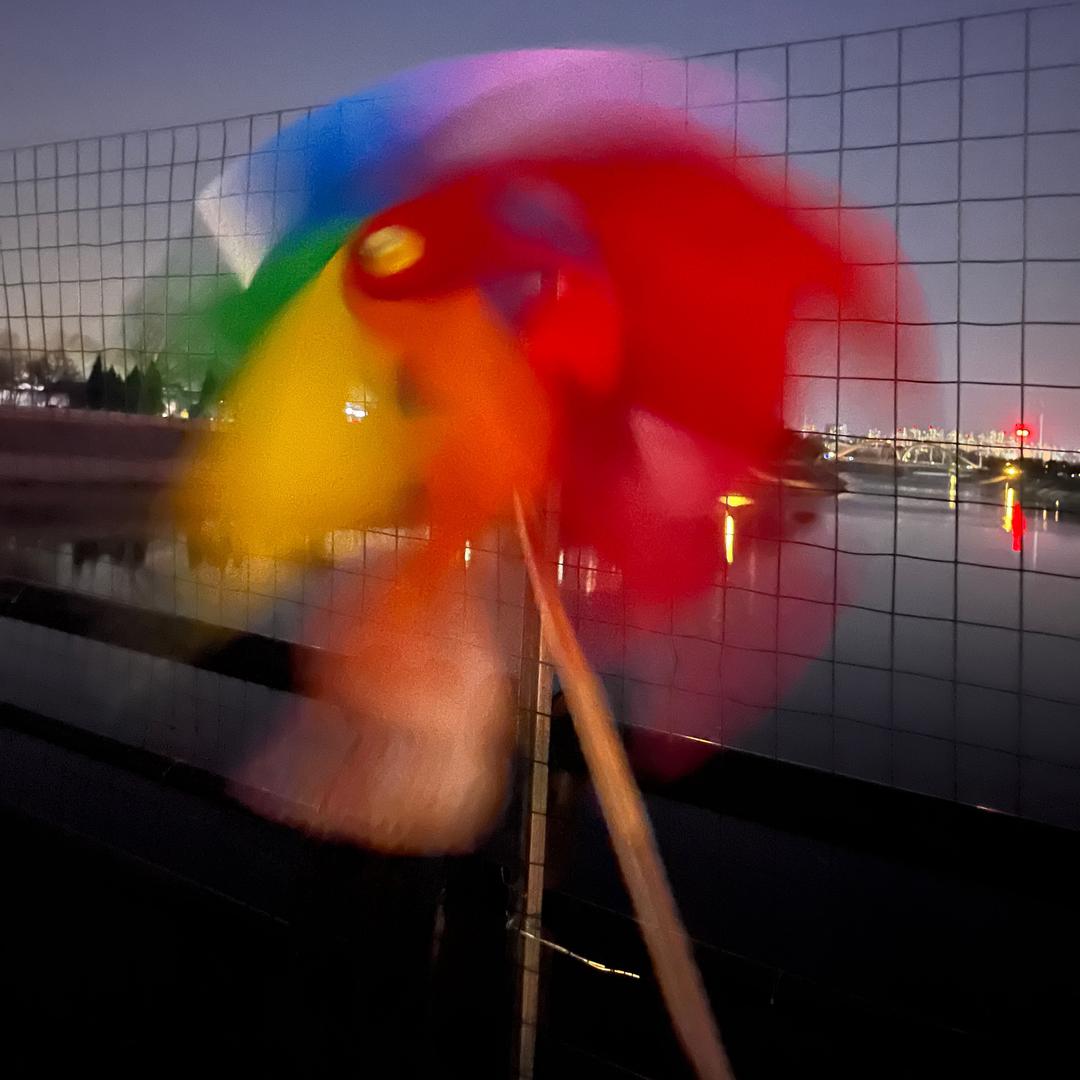 🌻向日葵的小太阳🌻