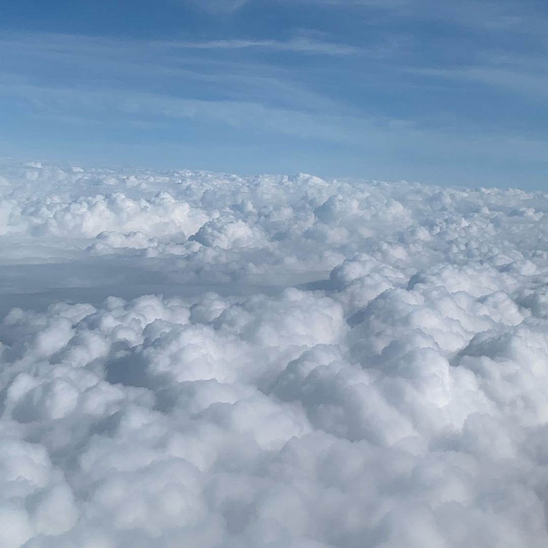 小张妈（临期清货）