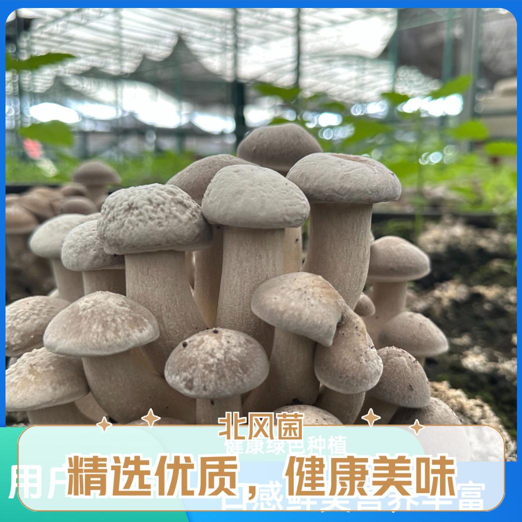 亿鲜日记特产店零售店