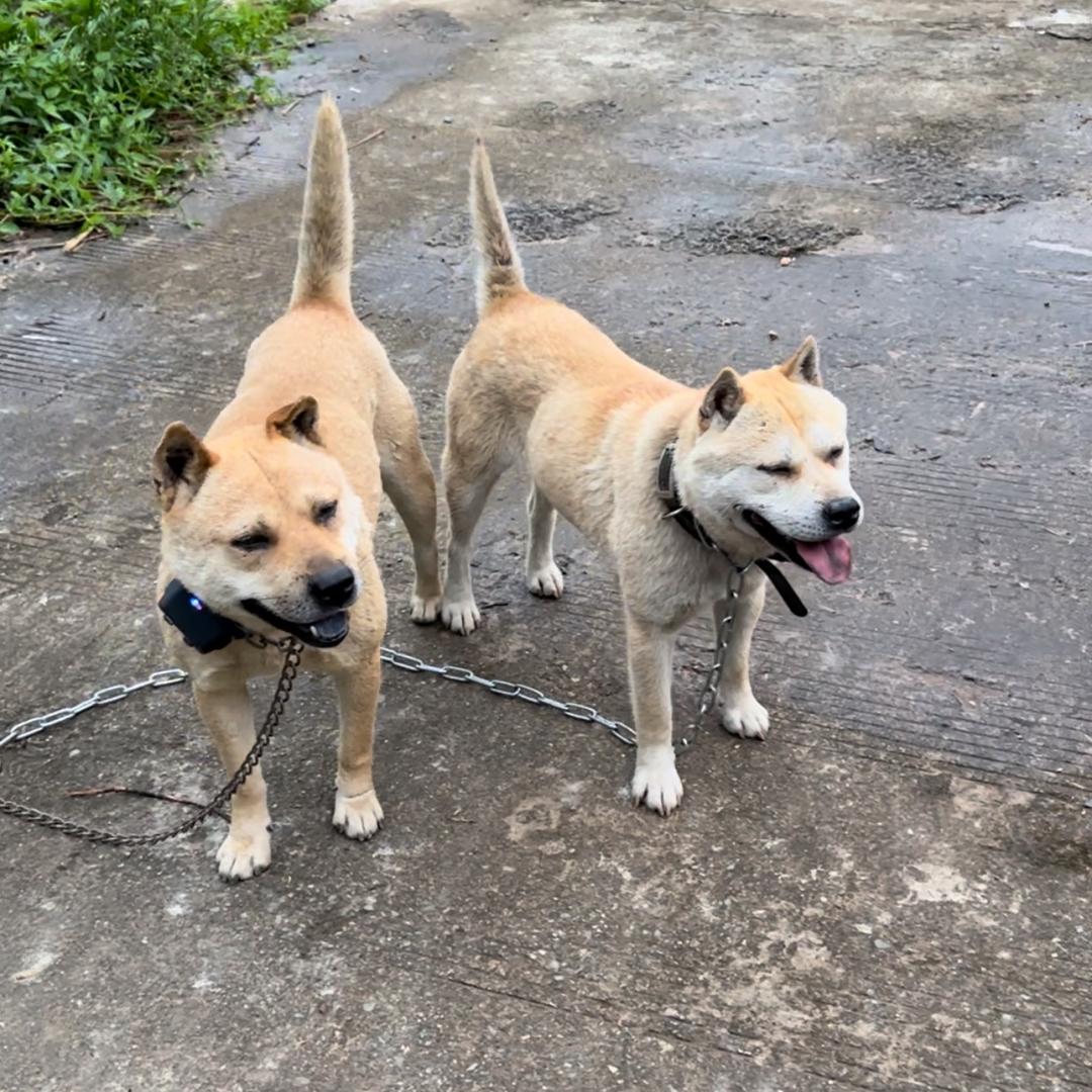 7-完美的你【小号】